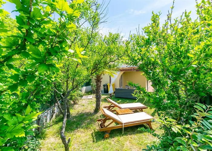 House Zeljko * Кампор