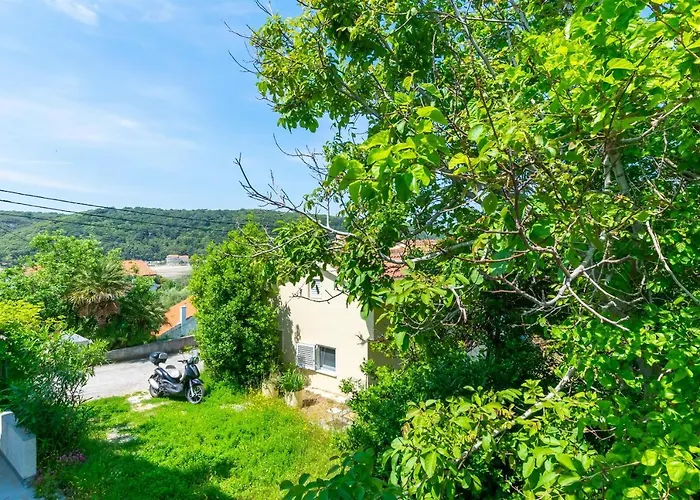 House Zeljko Дом отдыха *